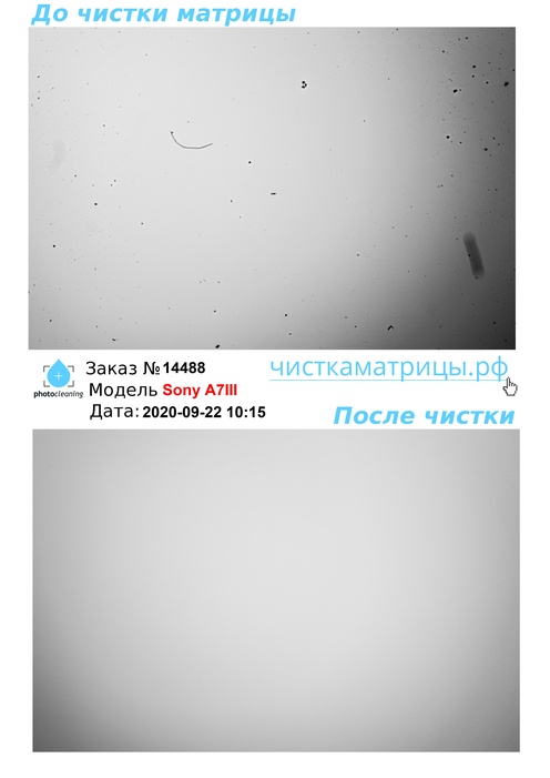 Чистка матрицы Sony A7III Чистка матрицы Sony A7III