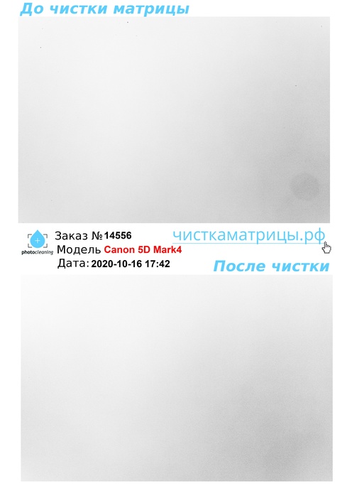 Чистка матрицы Canon 5D Mark4 Чистка матрицы Canon 5D Mark4