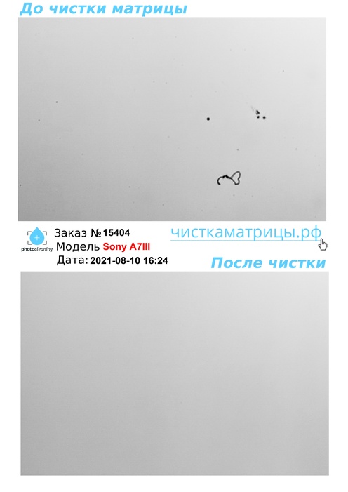 Чистка матрицы Sony A7III Чистка матрицы Sony A7III