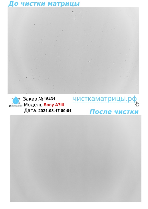 Чистка матрицы Sony A7III Чистка матрицы Sony A7III