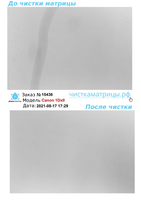 Чистка матрицы Canon 1DxII Чистка матрицы Canon 1DxII