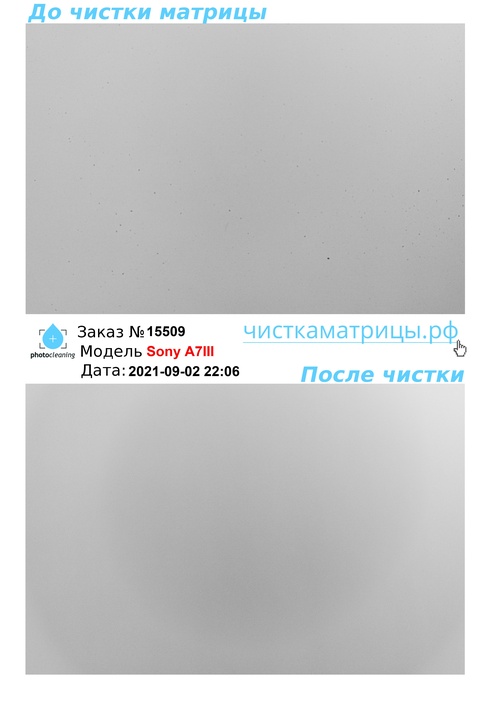 Чистка матрицы Sony A7III Чистка матрицы Sony A7III
