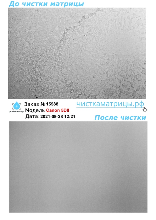 Чистка матрицы Canon 5DII Чистка матрицы Canon 5DII